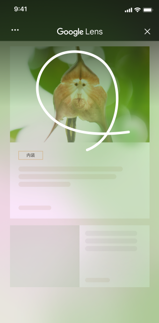 ユニークな花の画像が掲載されたインテリアのサイトで、iPhone ユーザーがページツールを開き、[画面を検索] を選択している